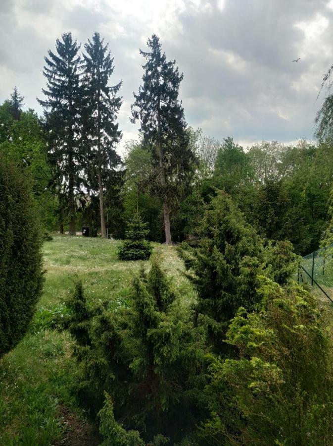 Apartament Na Gorce Lagow  Exterior photo
